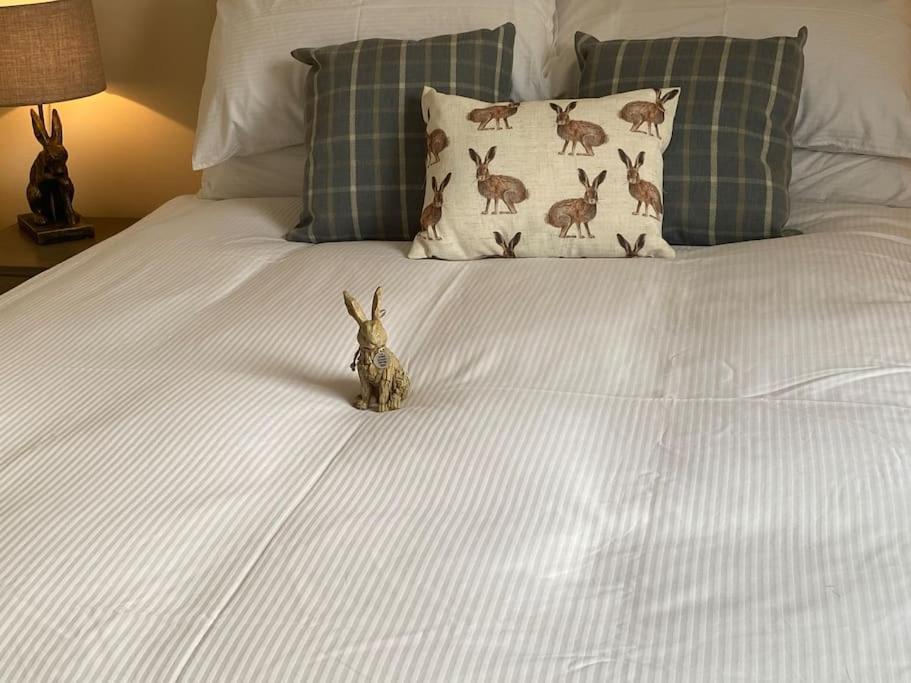The Burrow, Langholm, Dumfries And Galloway エクステリア 写真
